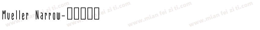 Mueller Narrow字体转换